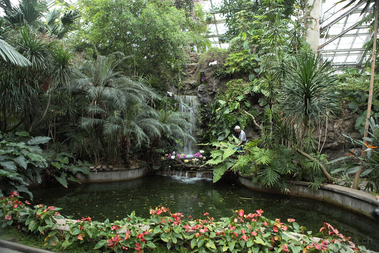 EOS 5D Mark II16_04_20134991.JPG